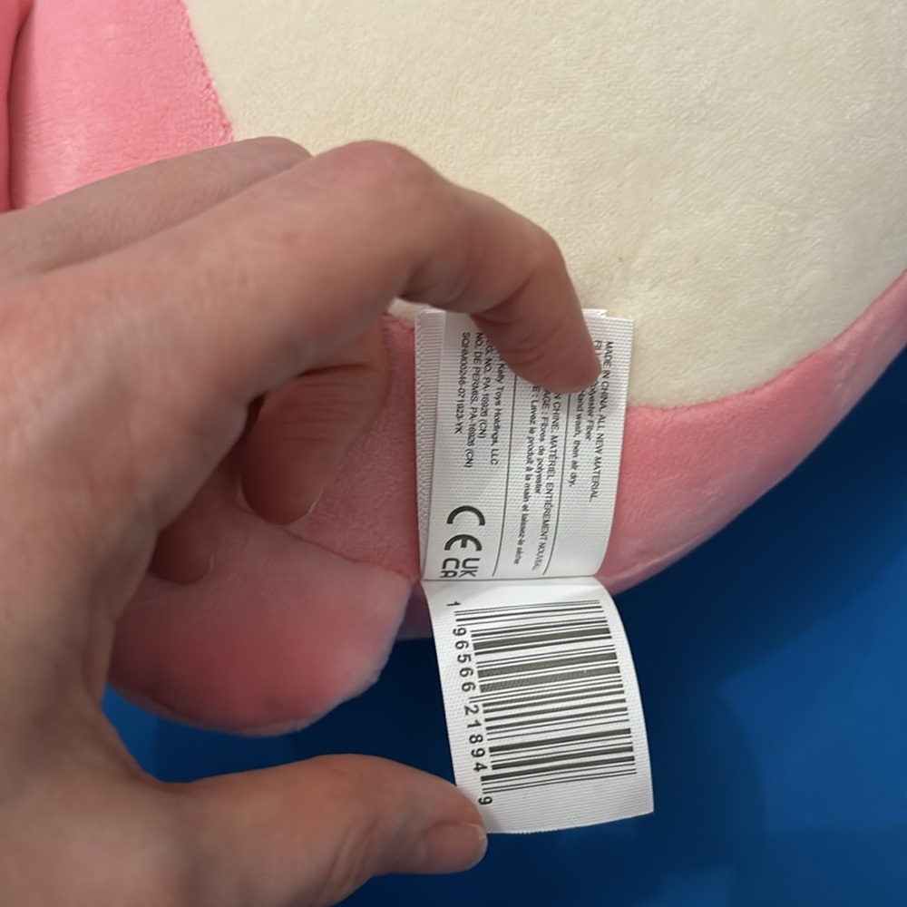Original SquishMallows Caparinne Size 10 “ Inch Valentines Day Hug Mees NWTS - Picture 8 of 9